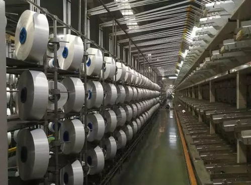 沒有調查就沒有發言權 深入這些企業,幫你把握聚酯產業發展脈搏