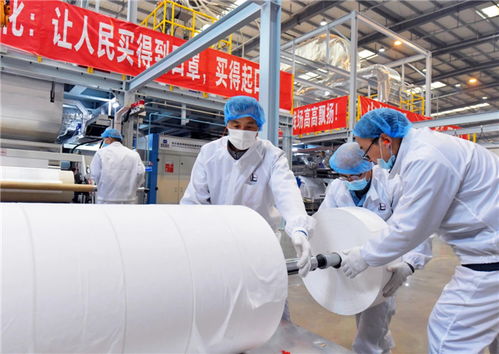 儀征化纖兩條熔噴布生產線成功投產